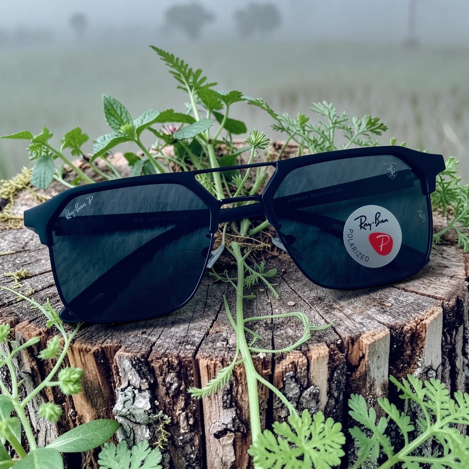 Polarize Sunglass